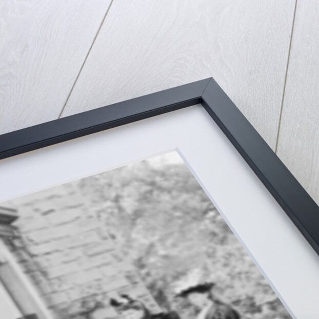 Women and a coachman in a pony and trap, late 19th century by Unknown