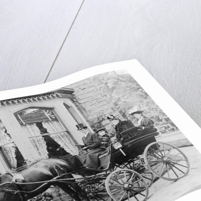 Women and a coachman in a pony and trap, late 19th century by Unknown