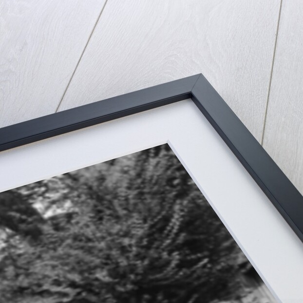 Hillman Hawk, Penshurst, Kent, 1937 by Unknown