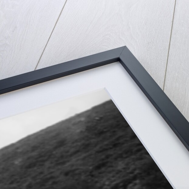 Crowded road at Dartmeet, Devon, c1951 by Unknown