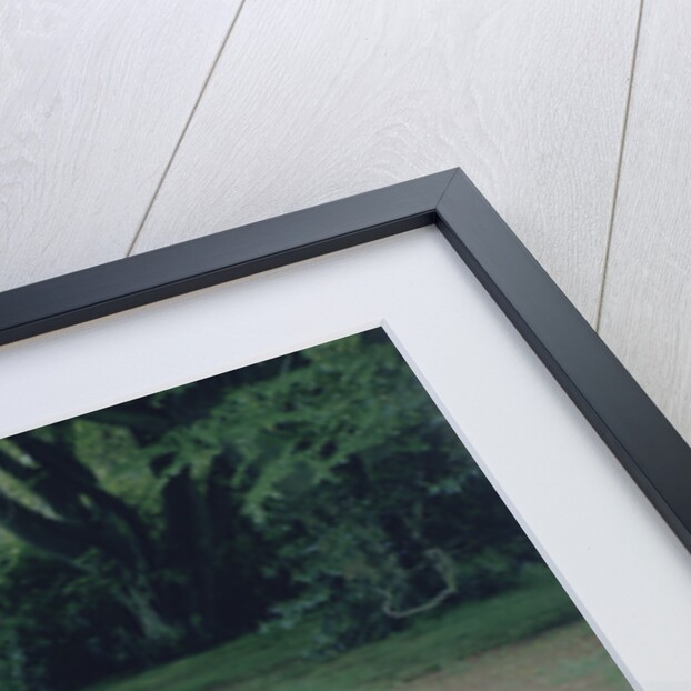 1979 Porsche 911 Turbo by Unknown