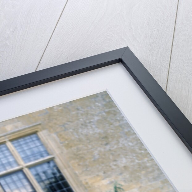 1973 Ferrari Dino 246 GT by Unknown