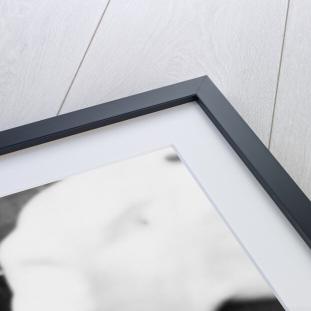 Jackie Stewart, early 1970s by Unknown