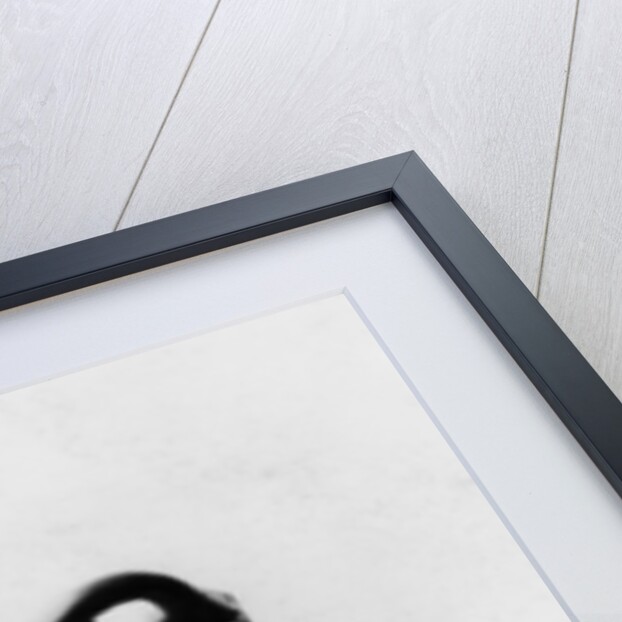 Camille Jenatzy, (c1900?) by Unknown