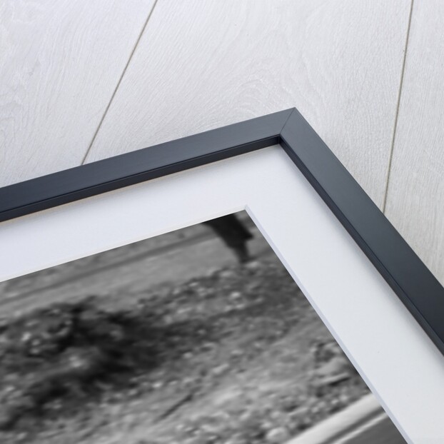 Roy Salvadori driving a 1953 Maserati at Brands Hatch, Kent, 1954 by Unknown