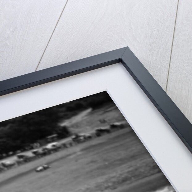 Formula Three Cooper 500cc cars racing at Brands Hatch, Kent, c1950-c1952 by Unknown