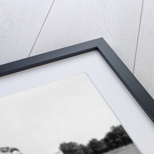 Giuseppe Farina at Monza, Italy, 1962 by Unknown