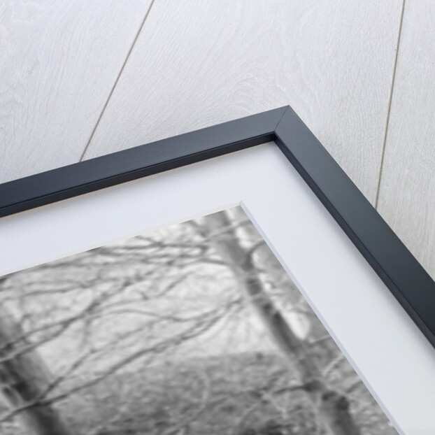 Peter Collins taking part in a hill climb, March 1949 by Unknown