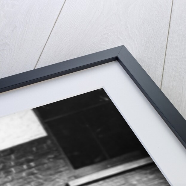 Johnny Dunlop riding his tricycle with rubber tyres, 1888 by Unknown