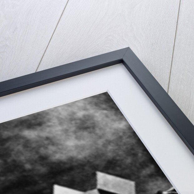 Gottlieb Daimler, 1899 by Unknown