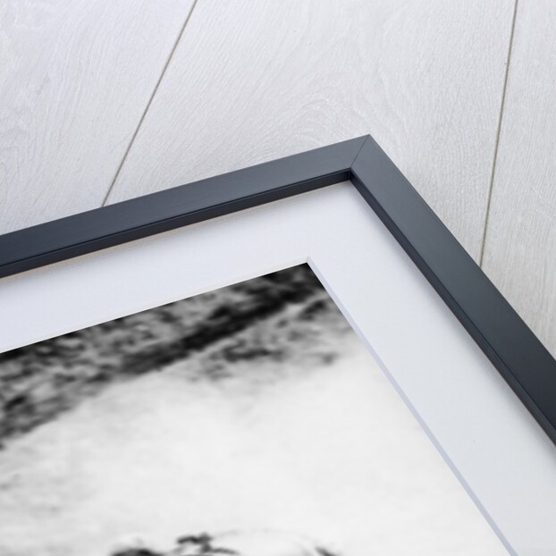 Alfieri Maserati and Guerino Bertocchi in a Type 26 Maserati, Targa Florio race, Sicily, 1926 by Unknown