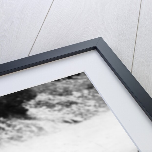 Pietro Bordino in a Fiat 803, in the Targa Florio race, Sicily, 1924 by Unknown
