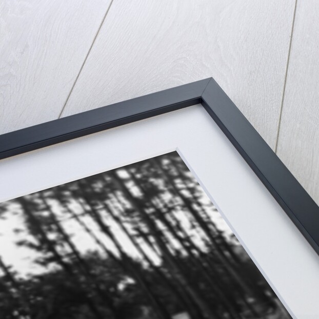 Le Mans 24 Hour Race, France, 1938 by Unknown