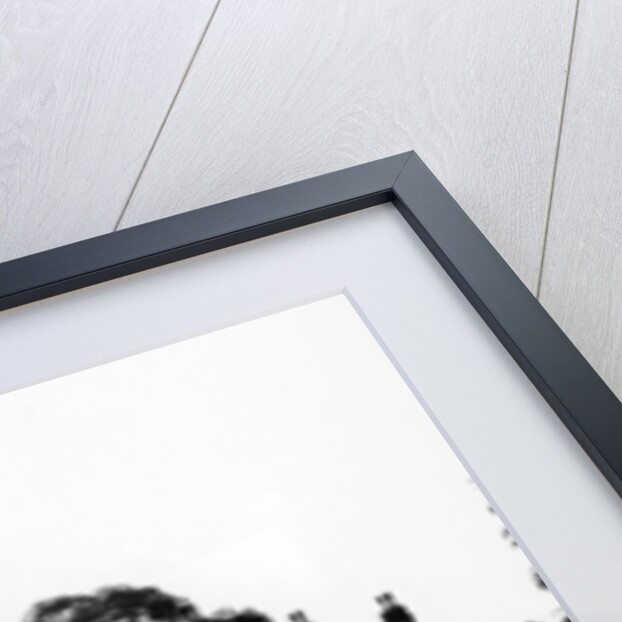 Fleet of cars at Castle Malwood, Hampshire by Unknown