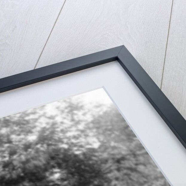 A group of men and women taking an outing in a 1907 Mercedes, 1908 by Unknown
