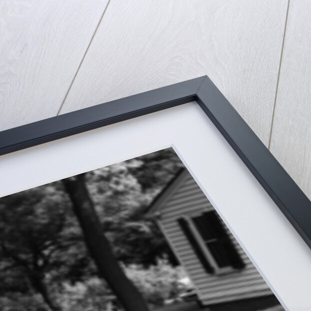 Ford Thunderbird, 1955 by Unknown