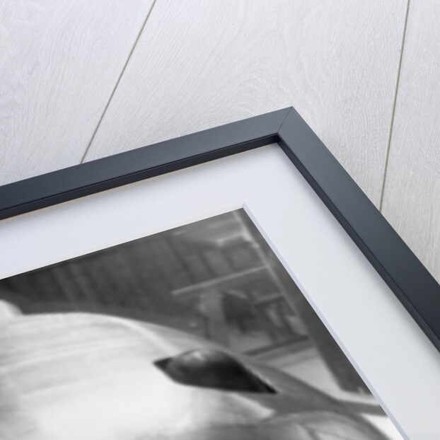 Railton Special Land Speed Record car, Brooklands, Surrey, 1938 by Unknown