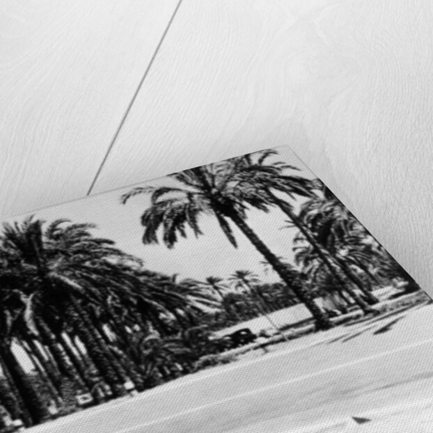 1.5 litre Mercedes in action, Tripoli Grand Prix, Tripoli, Libya, 1939 by Unknown