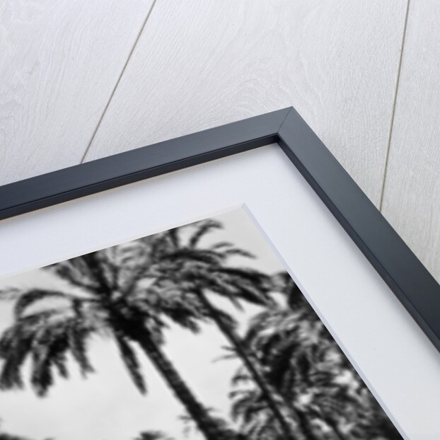 1.5 litre Mercedes in action, Tripoli Grand Prix, Tripoli, Libya, 1939 by Unknown