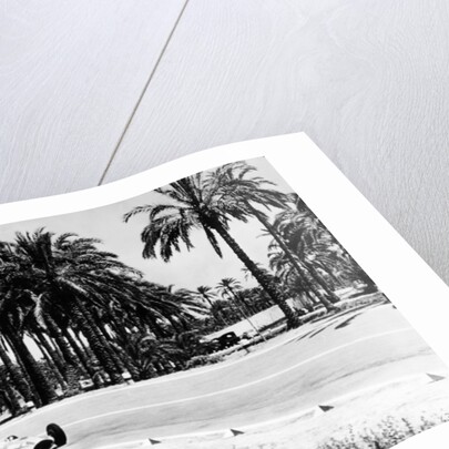 1.5 litre Mercedes in action, Tripoli Grand Prix, Tripoli, Libya, 1939 by Unknown