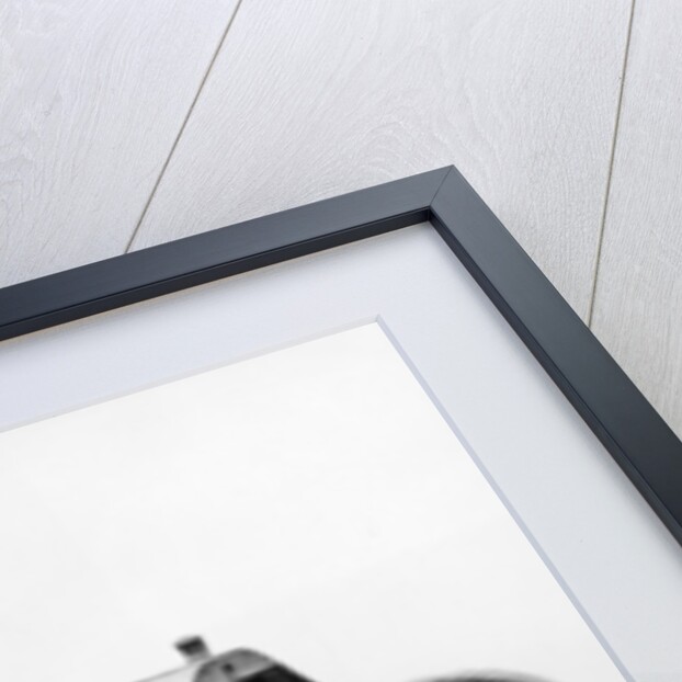 Mercedes 60 hp racing car, 1903 by Unknown