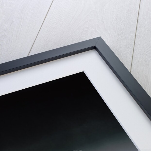 1950 Jaguar XK 120 by Unknown