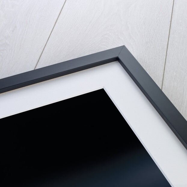 1993 Jaguar XJ 220 by Unknown