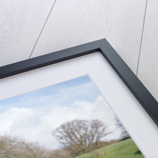 A 1928 Bean Short 14 with a 1926 Eccles Caravan by Unknown