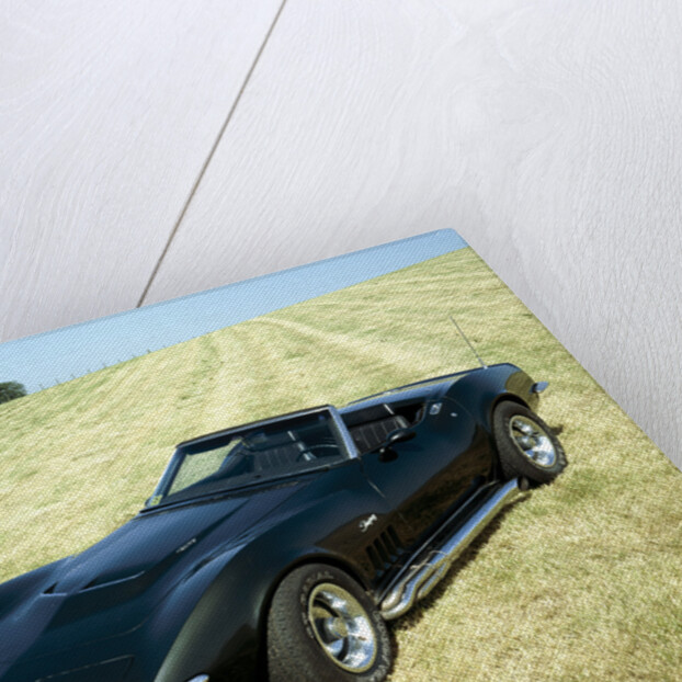 A 1969 Chevrolet Corvette Stingray in a field by Unknown