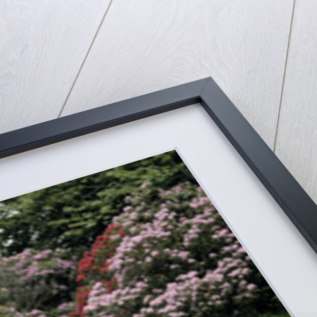 A 1937 Delage D6-75 Sport DHC by Unknown