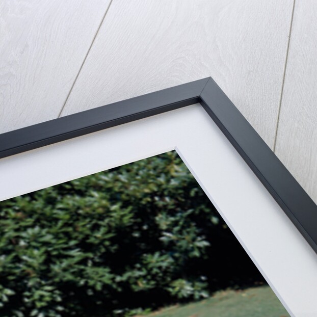 A 1966 Ferrari 275 GTB by Unknown