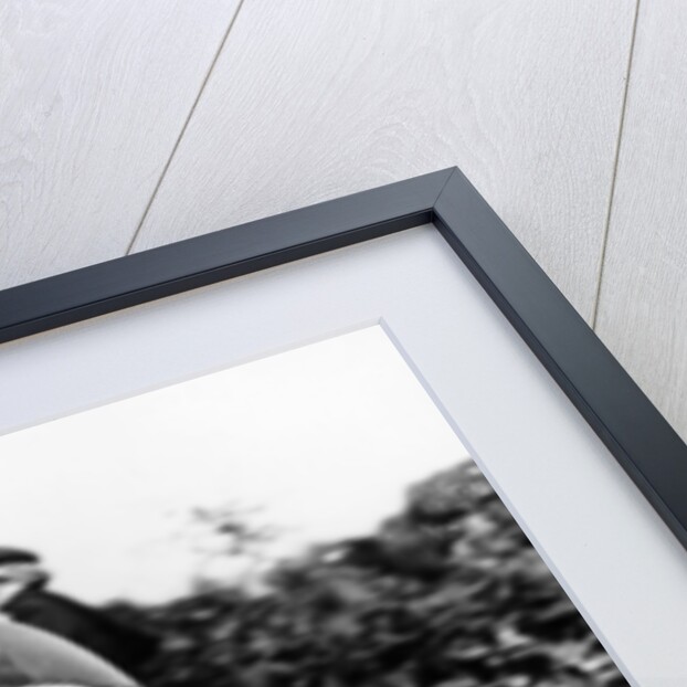 John Hartle winning the Isle of Man Junior TT, on an MV Agusta, 1960 by Unknown