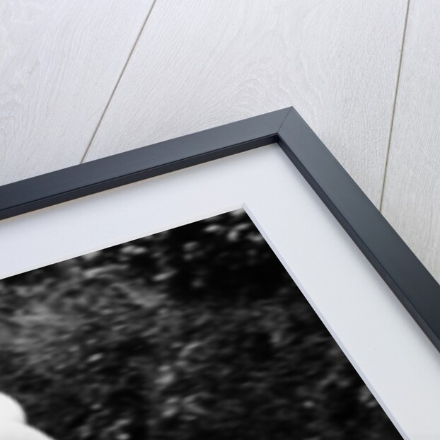 John Surtees racing an MV Agusta, 1958 by Unknown