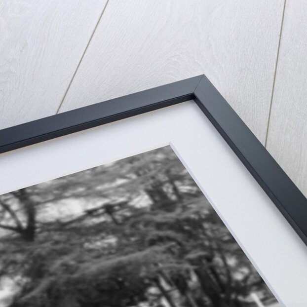 An Oldsmobile at the corner of an American street, 1954 by Unknown