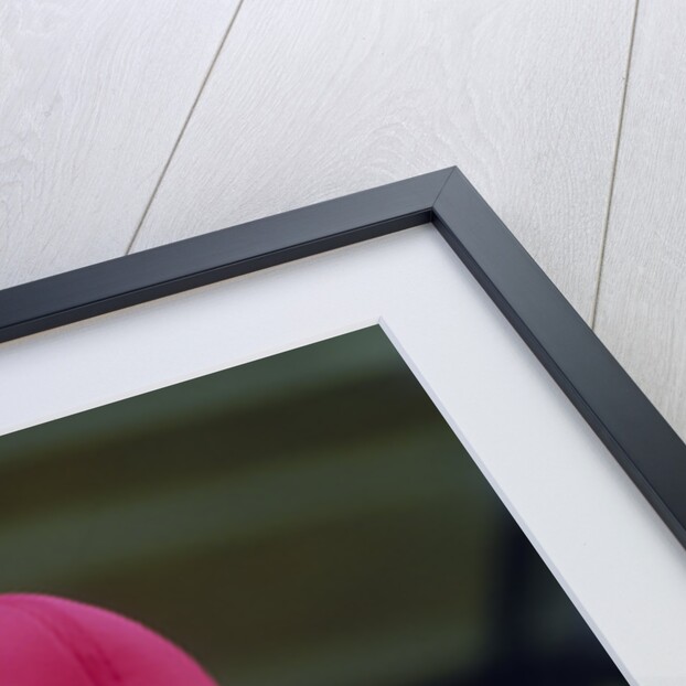 Nigel Mansell at the British Grand Prix, Silverstone, Northamptonshire, 1988 by Unknown