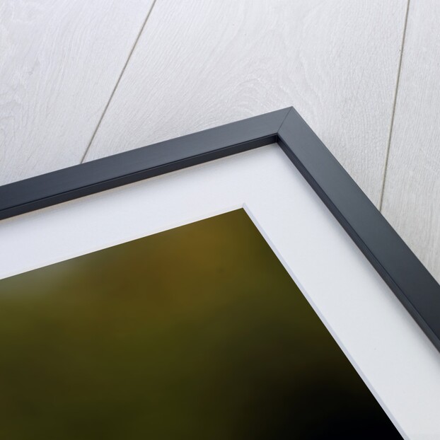 Bentley R type Continental 1954 by Simon Clay