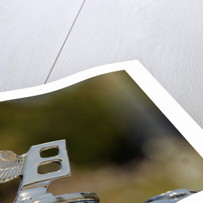 Bentley R type Continental 1954 by Simon Clay