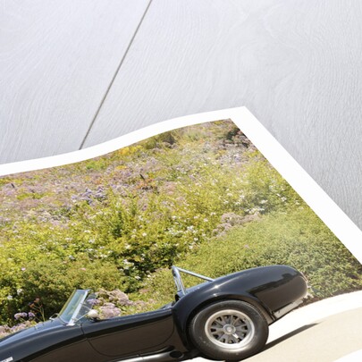 AC Cobra 427 1966 by Simon Clay