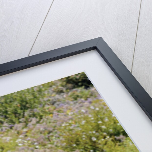 AC Cobra 427 1966 by Simon Clay