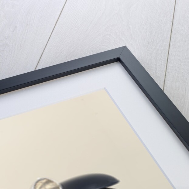 Bugatti type 55 1932 by Simon Clay