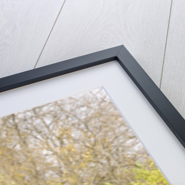 Buick Riviera 1963 by Simon Clay