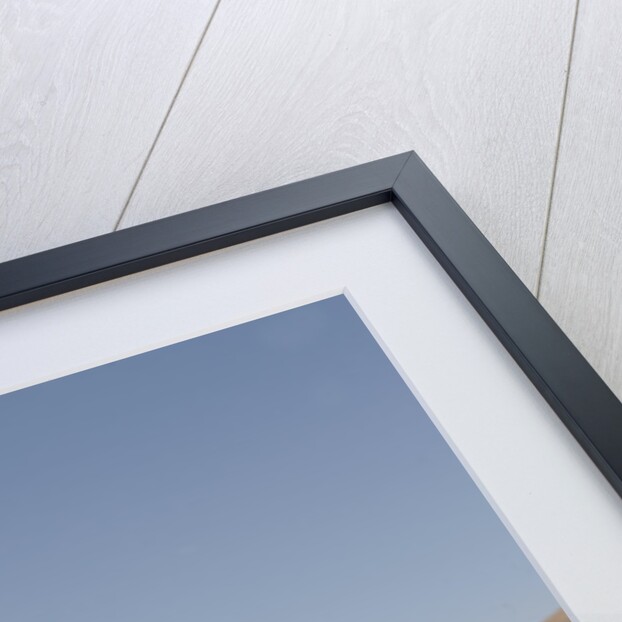 Cadillac Eldorado 1959 by Simon Clay