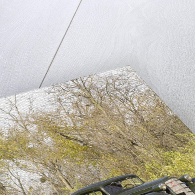 Cadillac V8 355d coupe by Fisher 1934 by Simon Clay