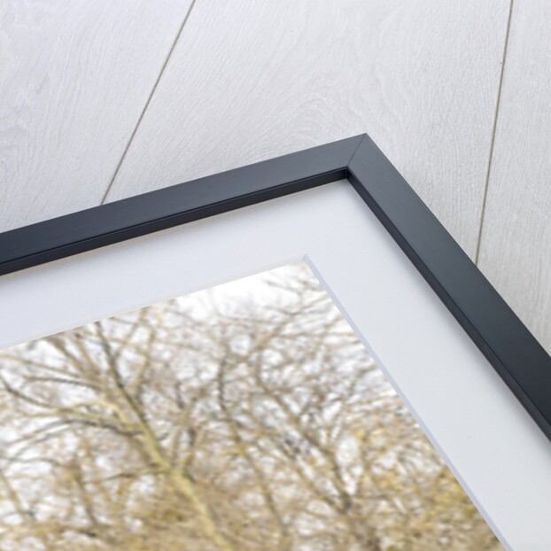 Cadillac V8 355d coupe by Fisher 1934 by Simon Clay