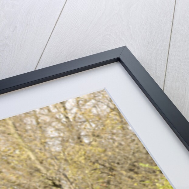 Cadillac V8 355d coupe by Fisher 1934 by Simon Clay