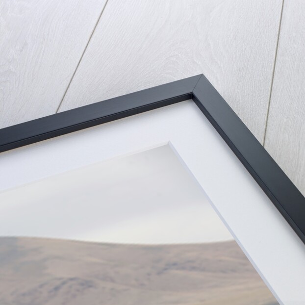 Chevrolet Impala Bubble top 1959 by Simon Clay