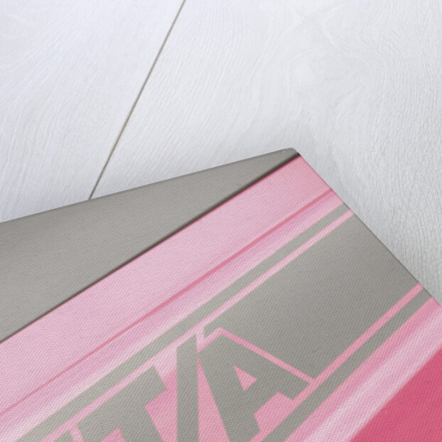 Dodge Challenger TA 1970 by Simon Clay