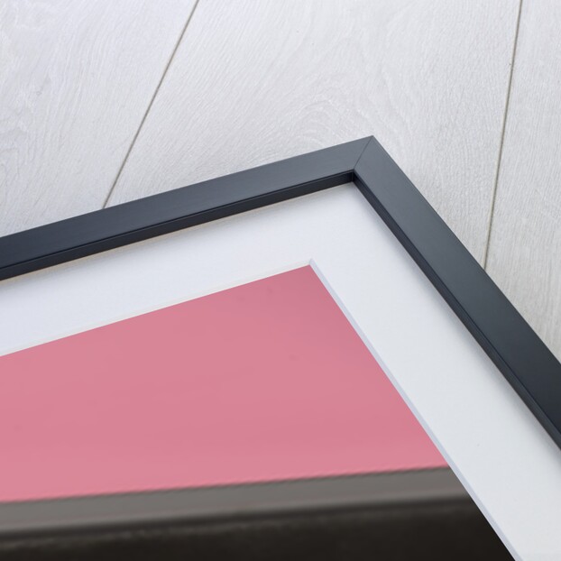 Dodge Challenger TA 1970 by Simon Clay