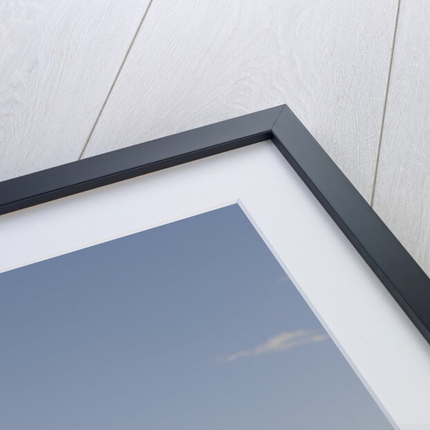 Dodge Charger Daytona 440 1969 by Simon Clay