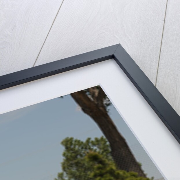 Dukes of Hazzard crashed by Simon Clay